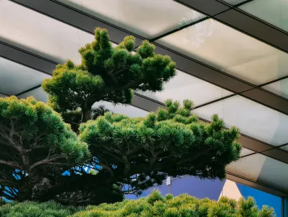 ArcaneBet Kasino Apl Mudah Alih